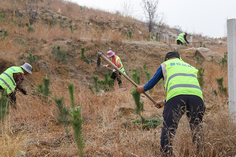 1712464586187366.jpg IMG_4687 拷貝.jpg