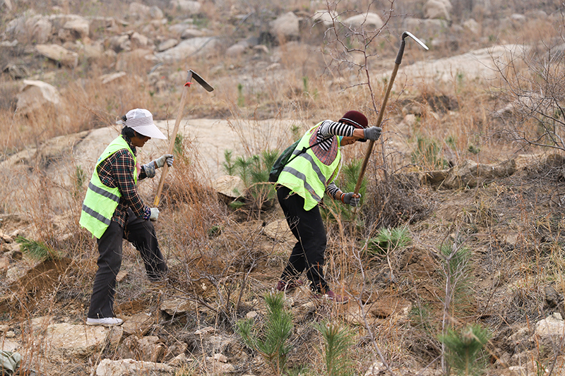 1712464625685199.jpg IMG_4766 拷貝.jpg