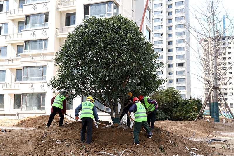 1746263286755062.jpg IMG_2114 拷貝.jpg